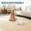 Tapis festonnés lavables pour le salon, la chambre et la salle de bain-980504640-980504701