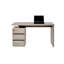 Hollice Writing Desk-218267453