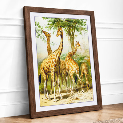 Giraffes in Acacia Shade Botanical 1 Piece Single Picture Frame Wall Art