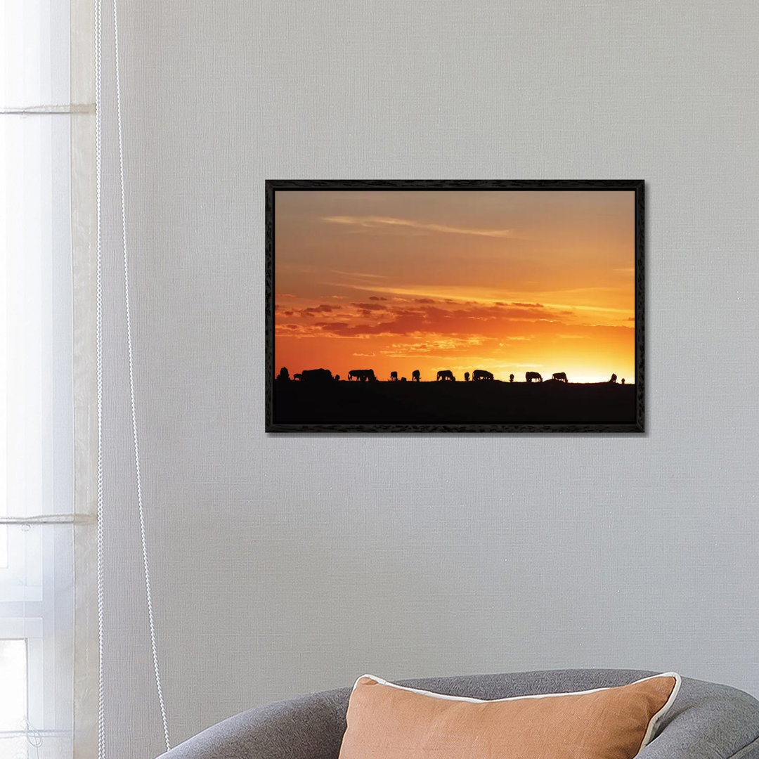 Sunset Silhouette Of Wildebeest In Africa von Susan Richey - Gallery-Wrapped Canvas Giclée on Canvas