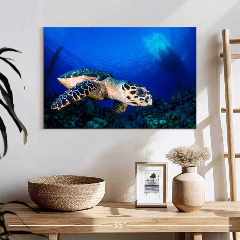 Brampt Underwater Hawksbill Turtle, 16" H x 24" W
