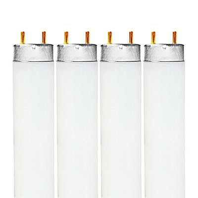 17 Watt, T8 Fluorescent Non-Dimmable Light Bulb, Daylight 6500 G13/Bi-pin Base