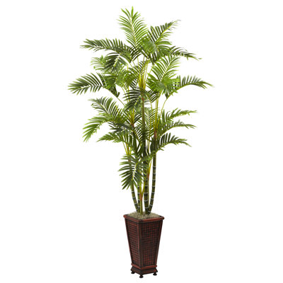 60,5 po plante à fleurs Areca en pot