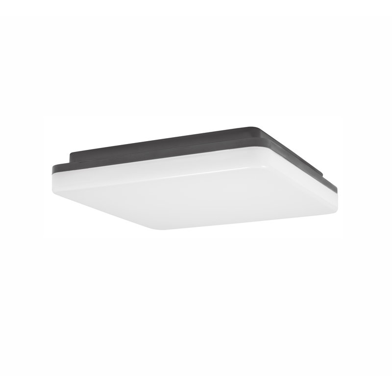 Tommy LED Outdoor Flush Mount