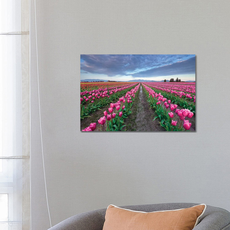 Skagit Bloom, Skagit Valley, Washington by Jim Nilsen - Wrapped Canvas Print, 45.72cm H x 66.04cm W x 1.91cm D