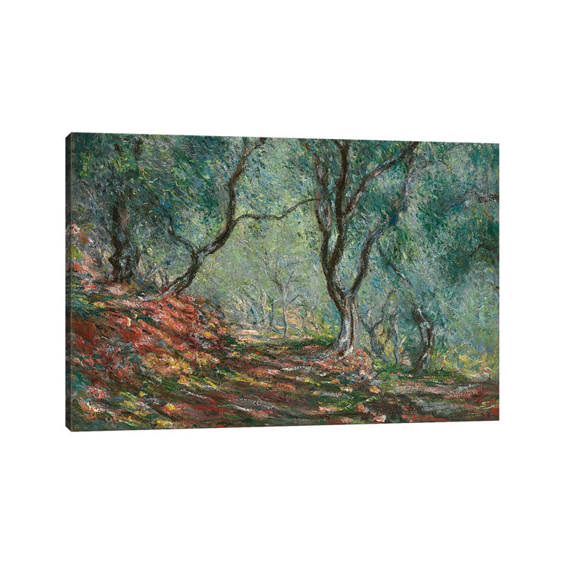 Olive dans le jardin de Moreno, 1884 - Giclée sur toile tendue avec châssis