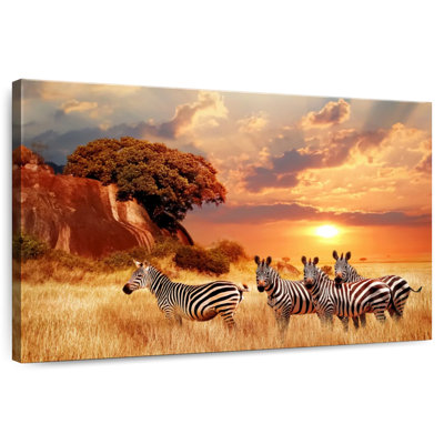 Zèbres Brampt Savanna