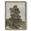 «Vintage Landscape CCLIX», reproduction encadrée - bois massif