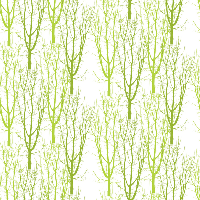 Agrume 4 forêt quelle, H 12 po x l 12 po, Non, Toile tendue