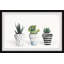 «Succulent Trio II», reproduction encadrée-1739136325