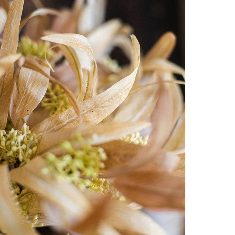 14.9'' Eucalyptus Plant, Five Stems, Long Leaf Light Brown