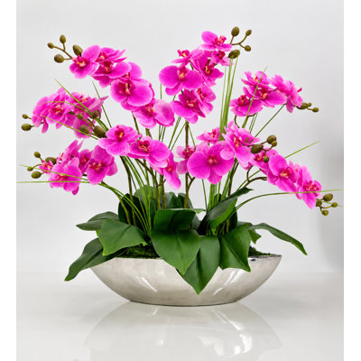8 Stems Real Touch Phalaenopsis Orchid Arrangement