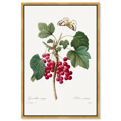 Art Remedy, reproduction d'art sur toile, groseille rouge de Choix