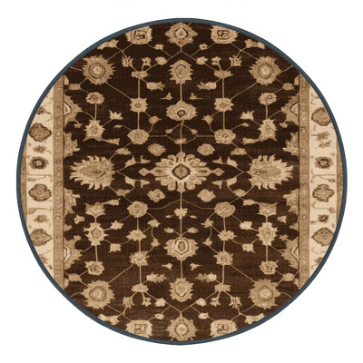 Machine Washable Overdyed Brown Area Rug
