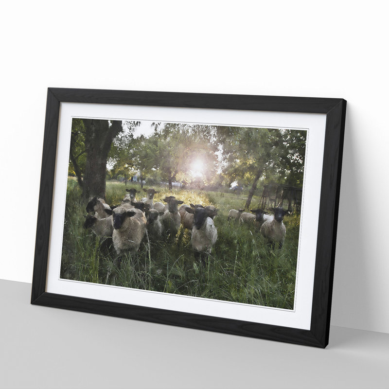 Flock of Sheep Vol.3 - Framed Print, 48cm H x 65cm W x 2cm D, Black Framed
