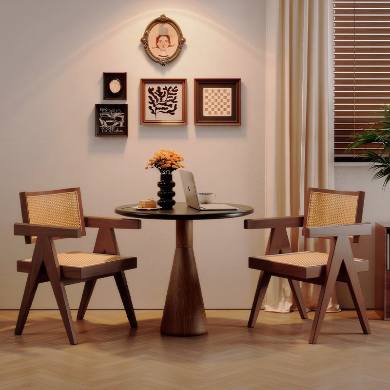 Ensemble de 2 chaises d'appoint de salle à manger Modern Mid Century