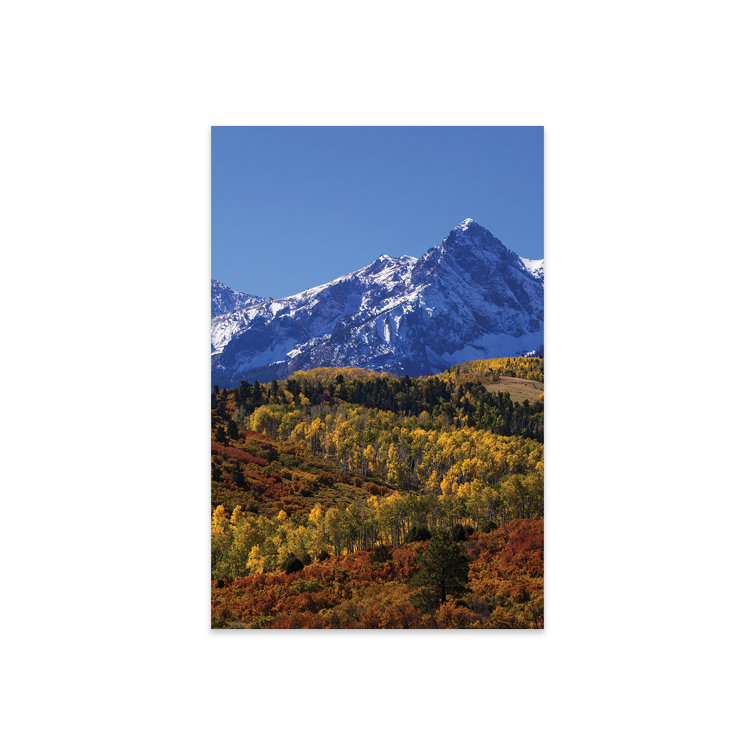 Millwood Pines Annyston USA, Colorado, San Juan Mountains. Mountain And ...
