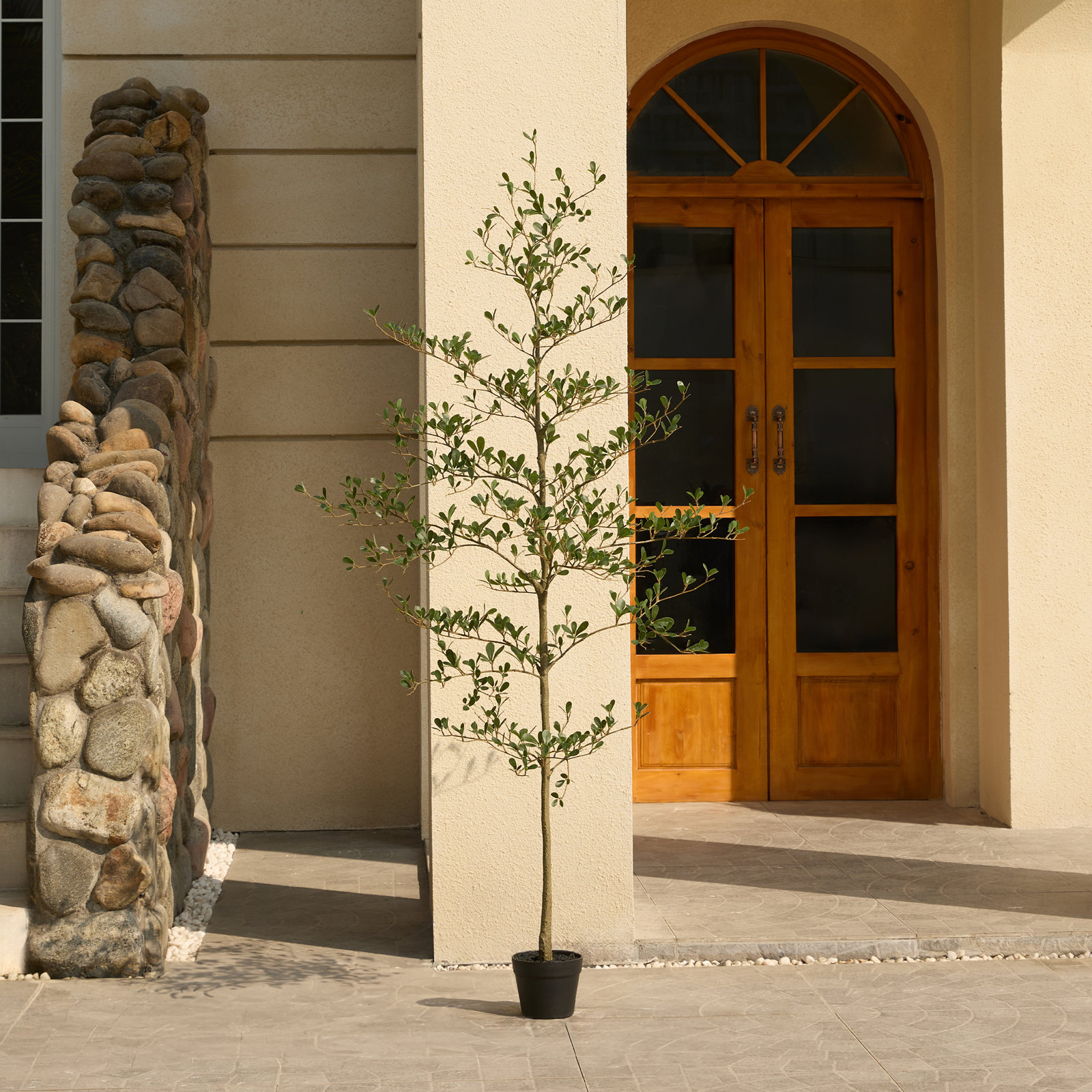 Adcock 84" Olive Tree in Pot, 72" H x 22" W x 22" D
