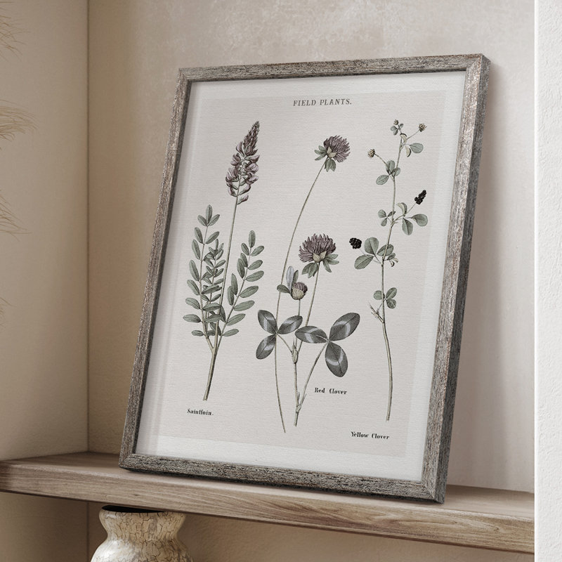 Multi Botanical II Framed Print - Solid Wood 48180, 11" H x 9" W