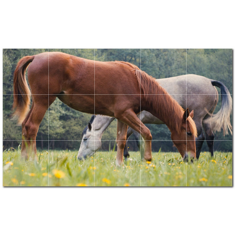 Photo de cheval 4,25 x 4,25