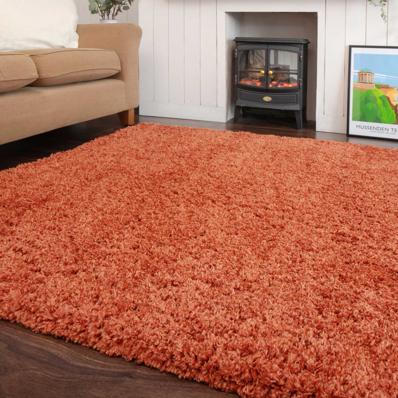 Anastyn Solid Colour Shag Area Rug, Rectangle 160 x 230cm