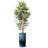 Artificial Tree in Contemporary Planter Fake Bamboo Silk Tree (Plant Pot Plus Tree)-103687312