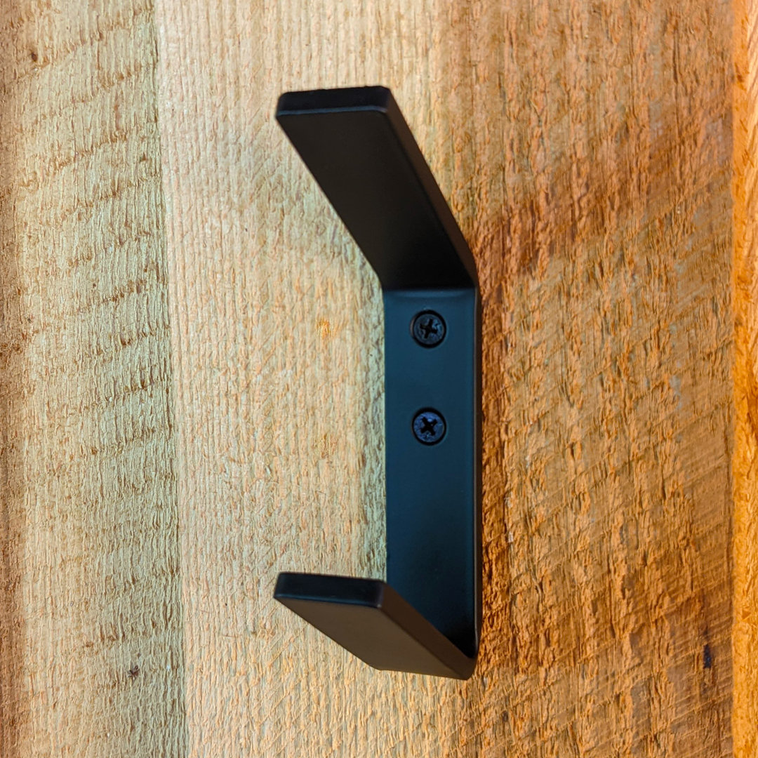 Izyk Steel Wall Double Hook Rebrilliant