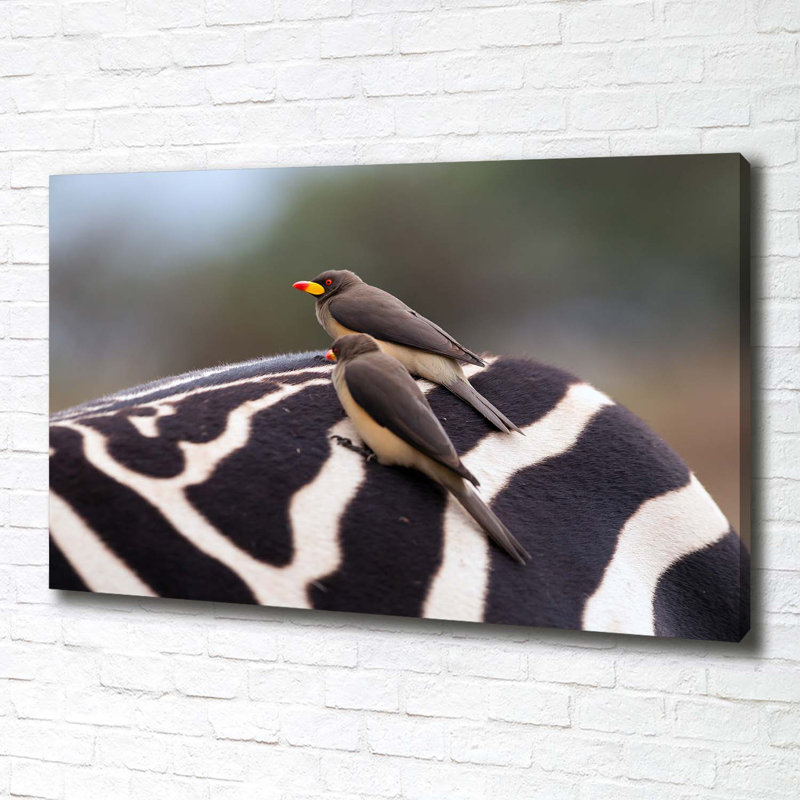 Birds And Zebra - Wrapped Canvas Print