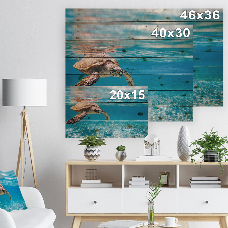 Paysage, grande tortue de mer, photographie sur toile - tortue de mer Hawksbill, H 30 po x l 40 po x P 1,5 po, Bois