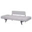 Newtowne 2 Seater Sofa Bed-40240818