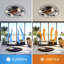 Ventilateur de plafond d'intérieur à télécommande à profil bas de 20 pouces avec 7 ampoules