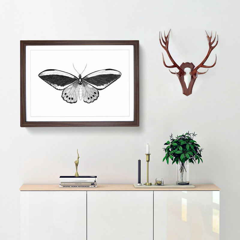 Papilio Butterfly in Black & White by George Shaw - Picture Frame Painting Print, Walnut Framed, 27cm H x 36cm W x 2cm D