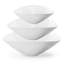 Sophie Conran, White - Salad Bowls