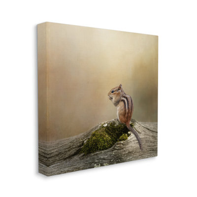 Chipmunk Peaceful Woodland Nature - Photographie sur toile tendue