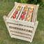 Whisnant 60cm W Solid Wood Shelving Unit