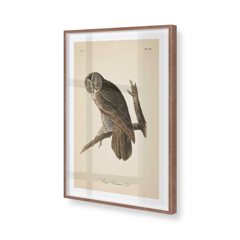 Impression d'un hibou perché dans un, Encadré rose poudre, H 15 po x l 12 po x P 1,375 po