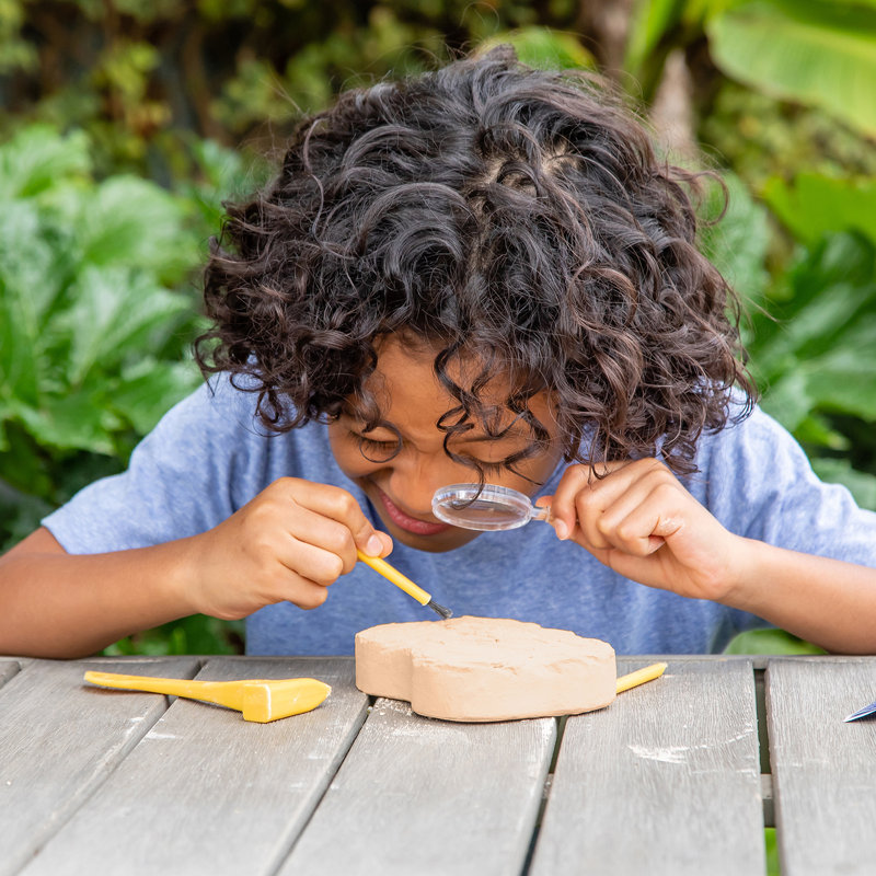 Geosafari Jr. Fossil Excavation Kit