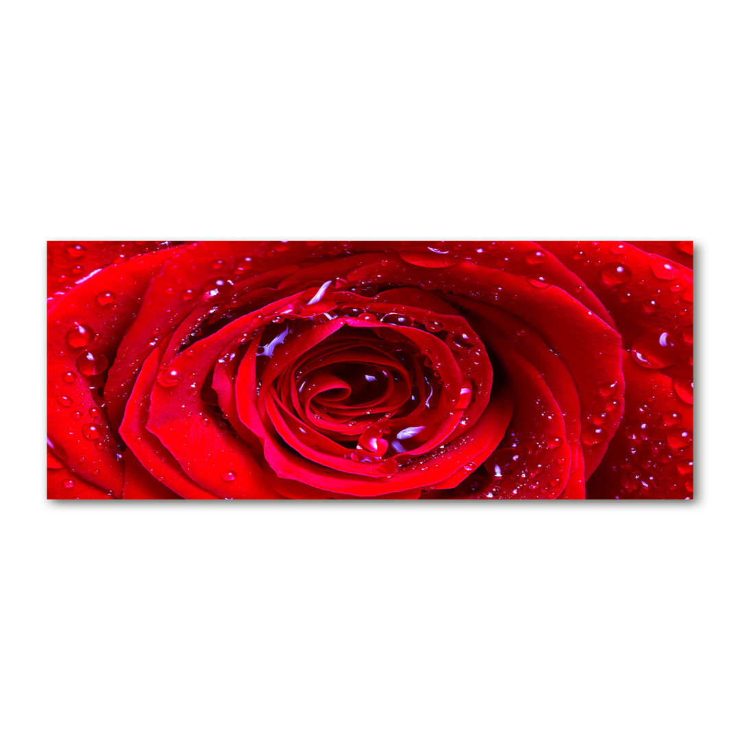 Rose Flower Wrapped Canvas - Kunstdrucke