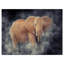 Animal Brown Elephant Kenya Canvas Graphic Art - Elephant in Kenya-29495675