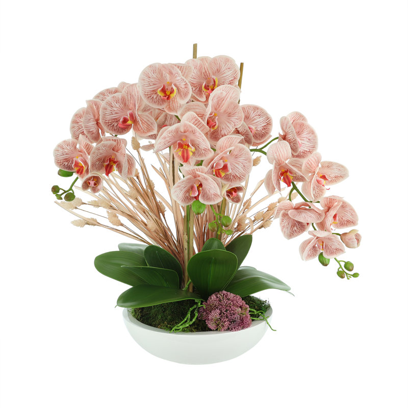Orchids Arranged in Fiberstone Planter