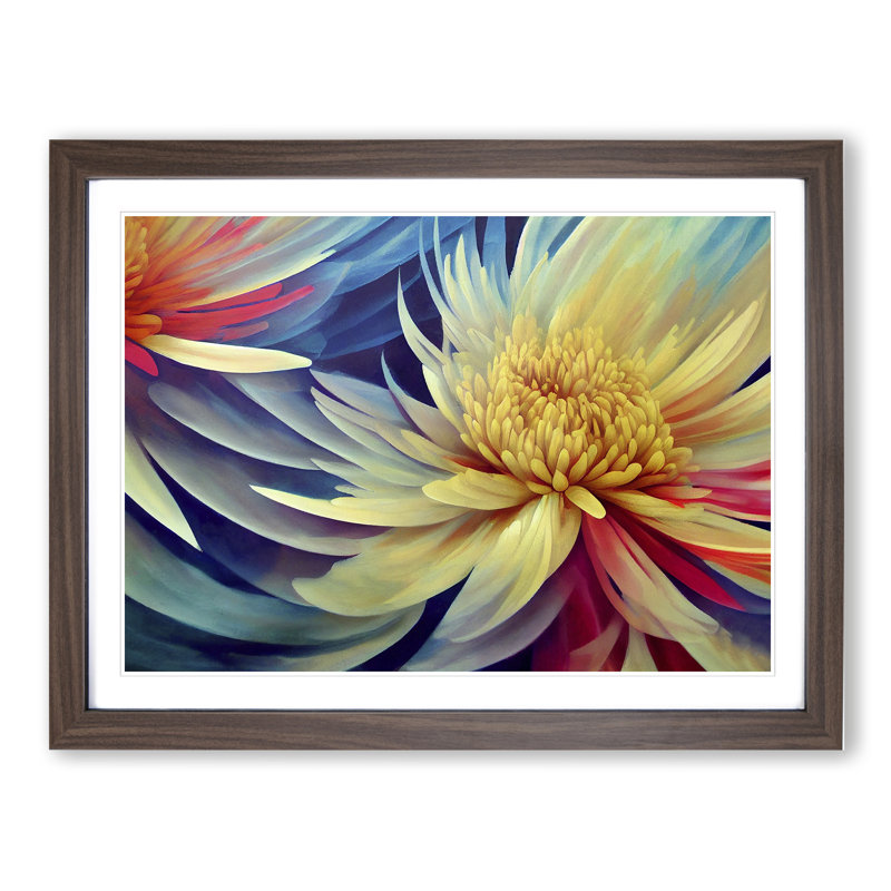 Beauteous Chrysanthemum Flowers - Framed Print, Walnut, 34cm H x 46cm W x 2cm D