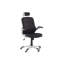 Mystic Mesh Executive Chair with Headrest