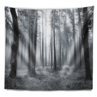 Tapisserie forêt brumeuse