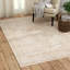 Dorrance Oriental Indoor Rug-1396357546