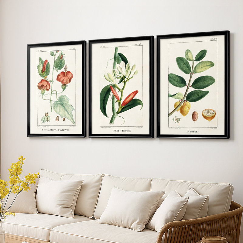 Turpin Tropical Botanicals IV - Toile tendue avec châssis sur mesure - 3 pièces, H 21 po x l 30 po, Noir