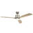 Ridley 60'' Ceiling Fan with LED Lights-82941943