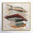 Carmina Spring Shadows by Susan Jill - Floater Frame Painting on Canvas-59825372-59825370
