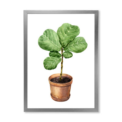 Ficus Lyre In Clay Flowerpot - Painting on Canvas