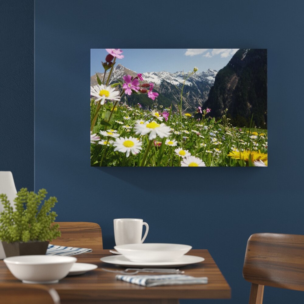 Leinwandbild „Wunderschöne Blumen Alpenwiese", Fotodruck