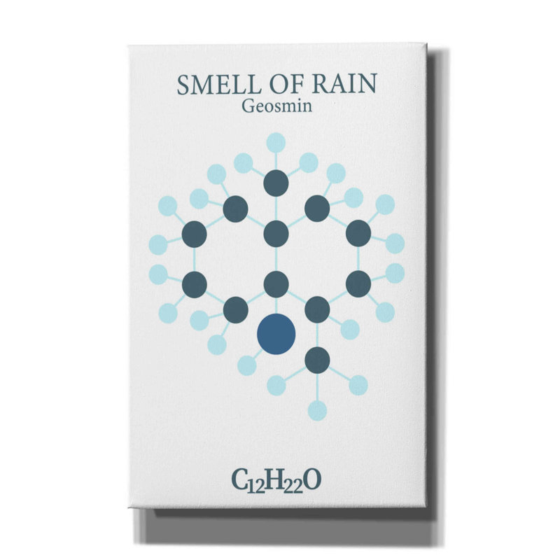 «Smell Of Rain Molecule» par Maxim, H 40 po x l 26 po x P 1,5 po